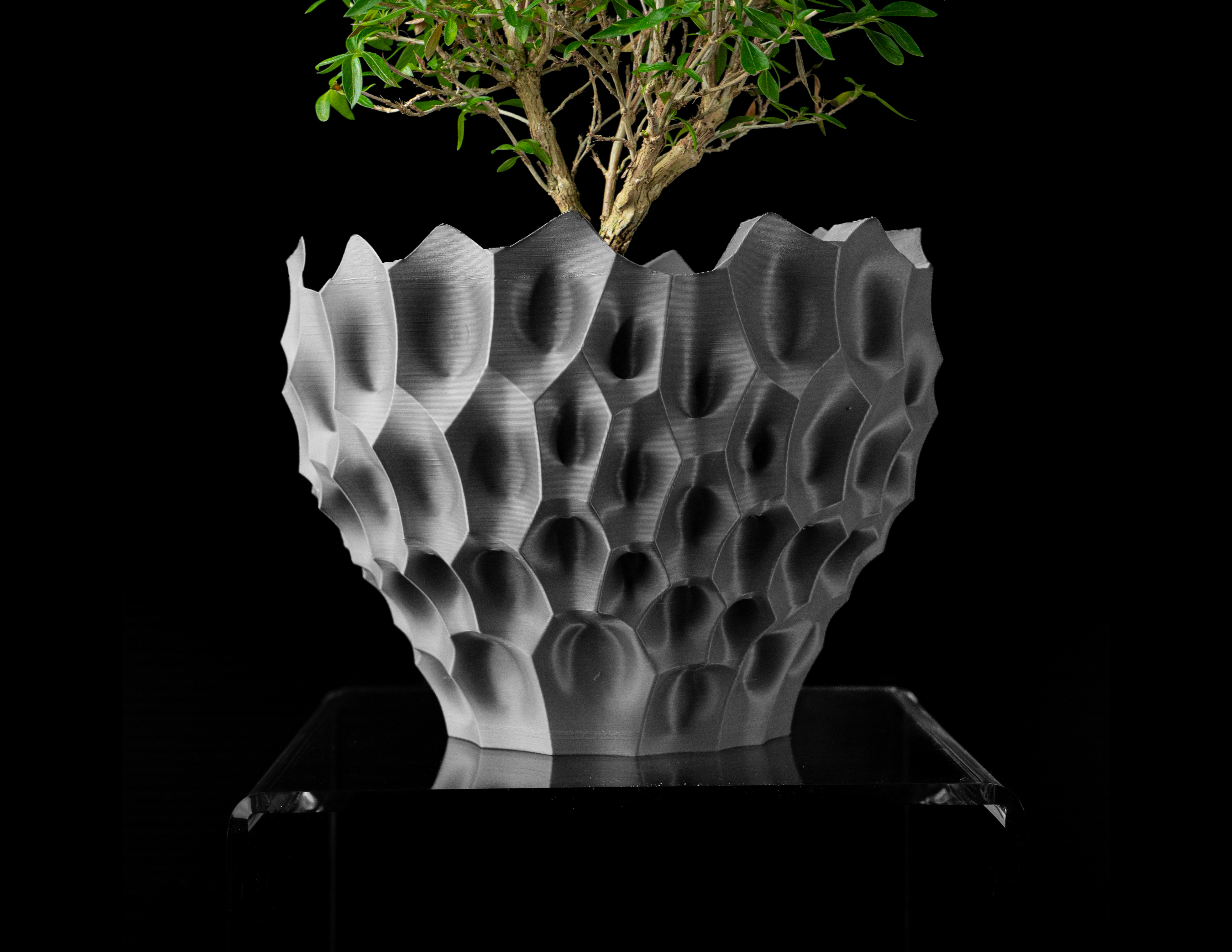 Bane Planter Pot by MODERN MACHINE
