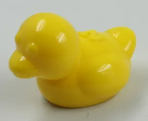 NT Duck