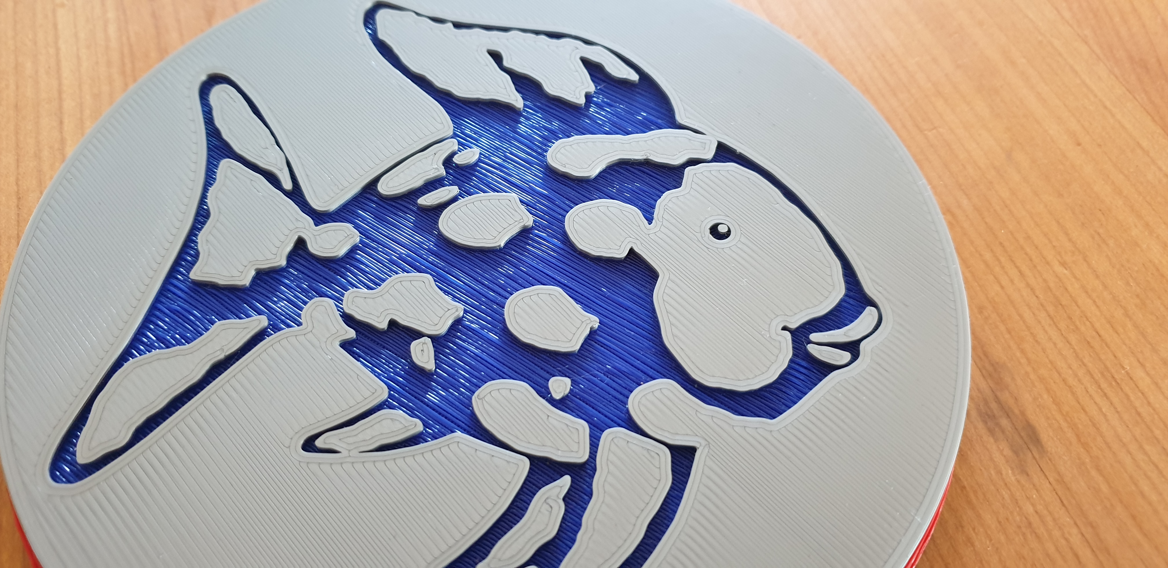 Euler Disk with children motives Regenbogenfisch <-> Rotflosse by Damir  Perisa, Download free STL model