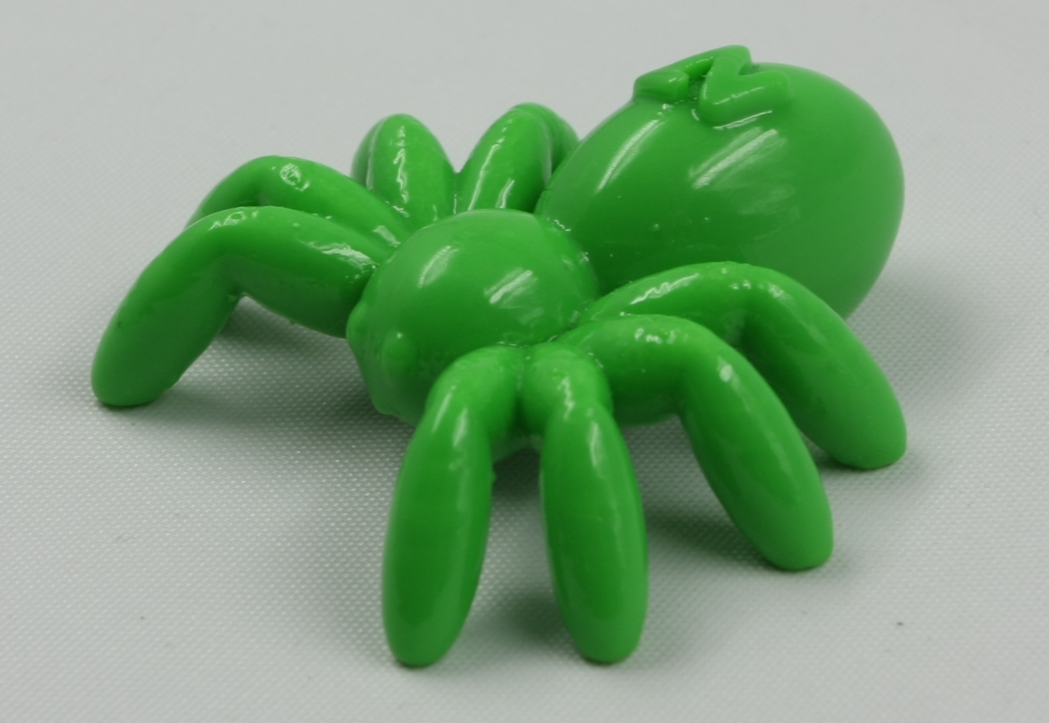 NT Spider