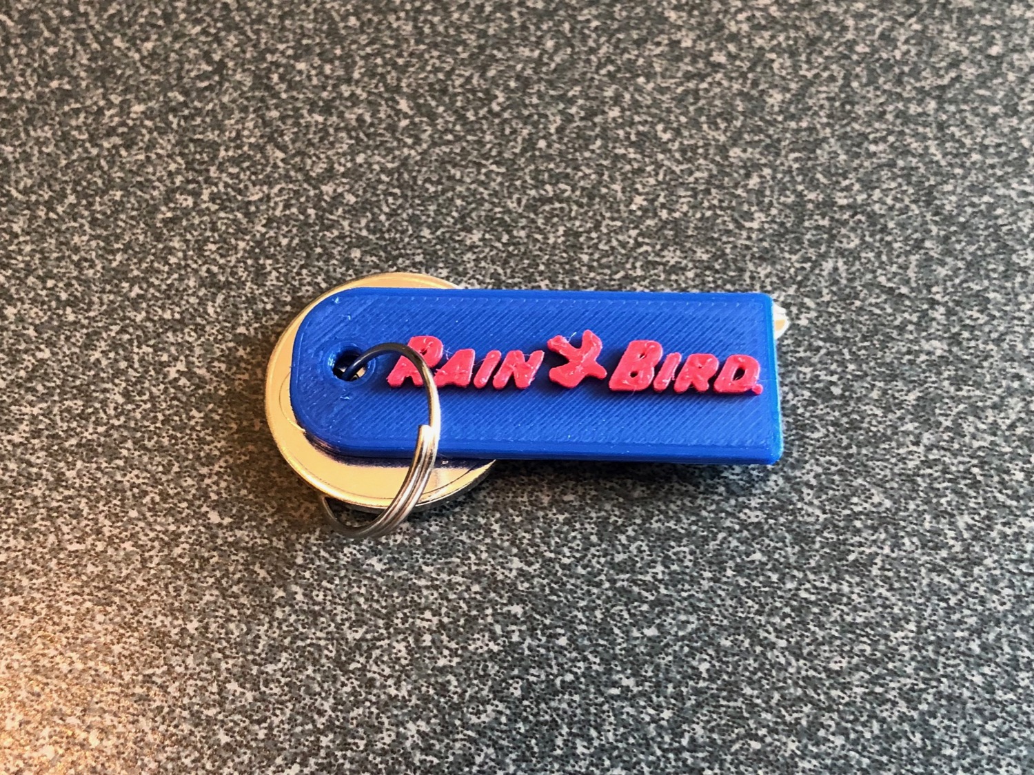 Key fob for RainBird controller box key