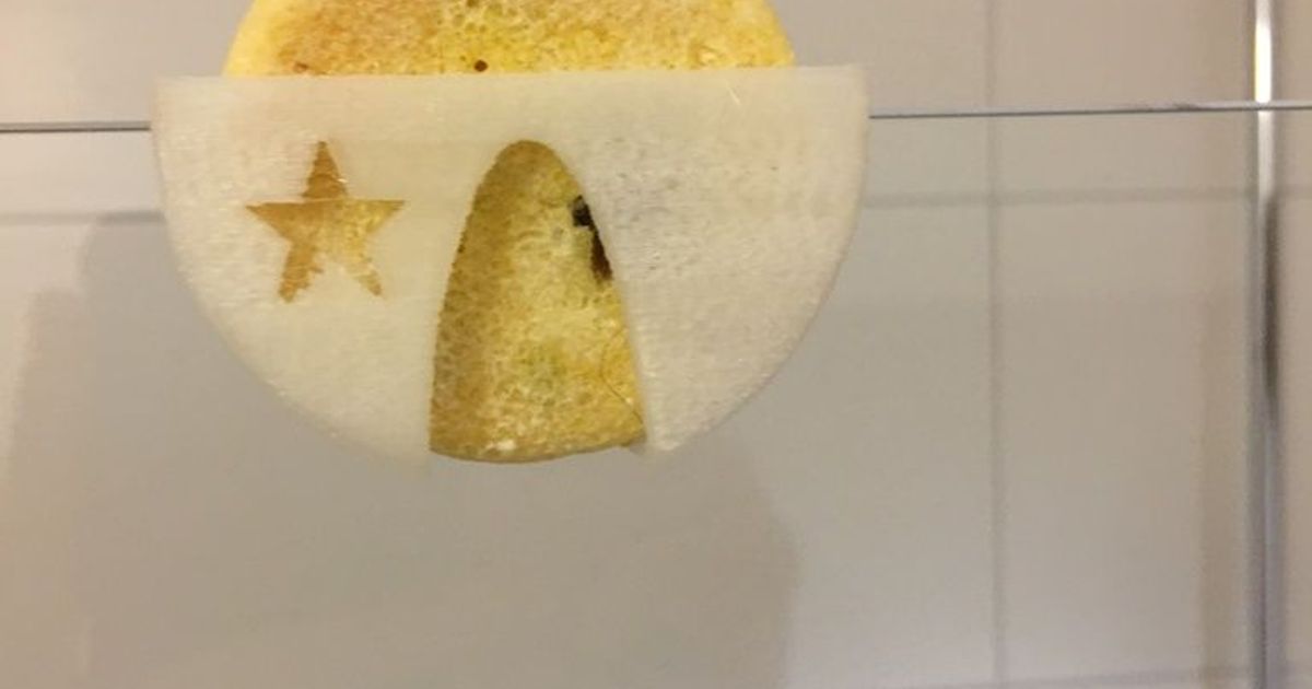 Lush shampoo bar holder by Steeeve Download free STL model