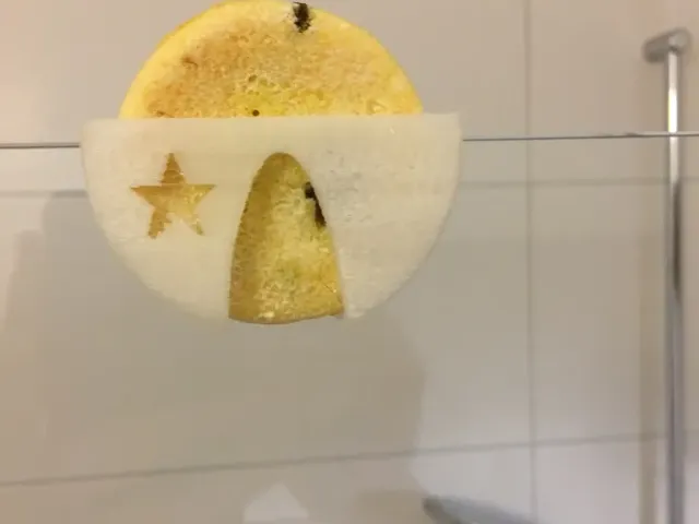 Lush shampoo bar holder