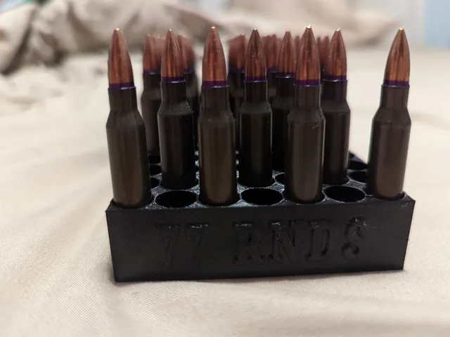 223/556/380/9MM Storage