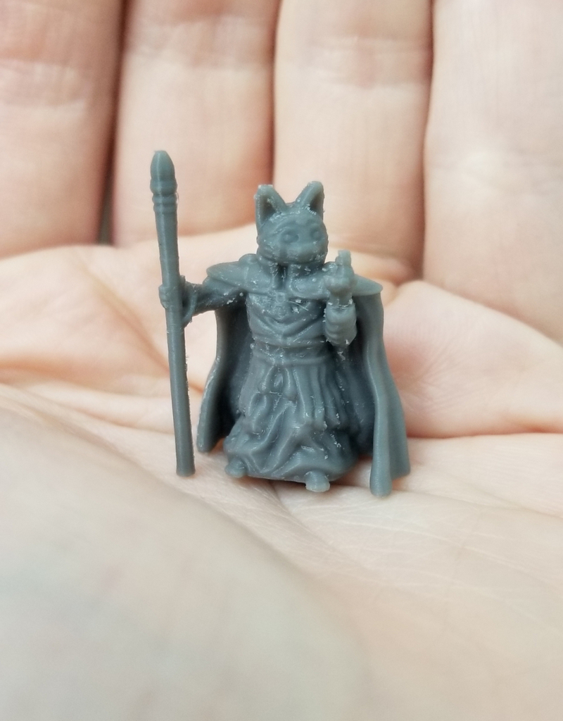 Miniatura 2 do modelo 3D Cat Mage