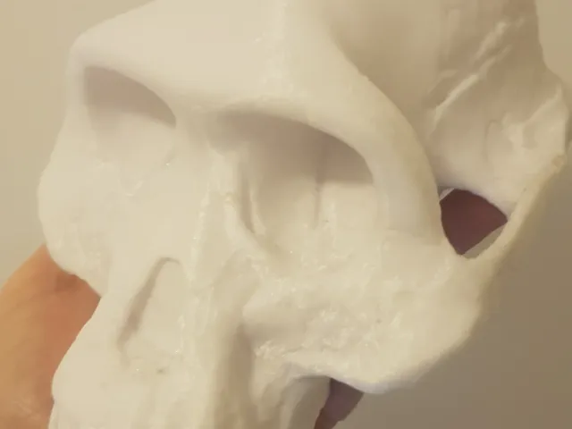 Australopithecus Skull (Much faster printing)