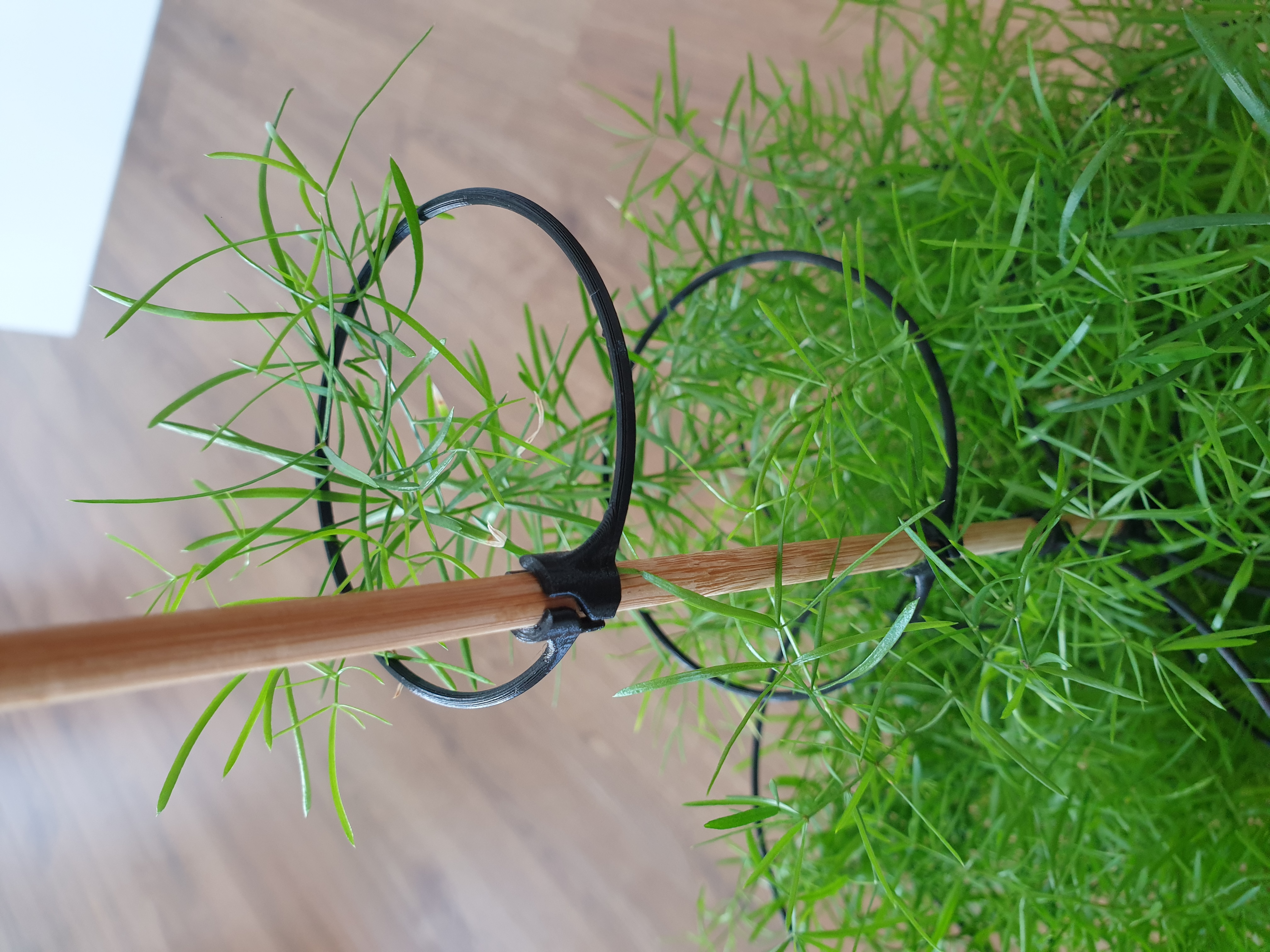 Plant support
