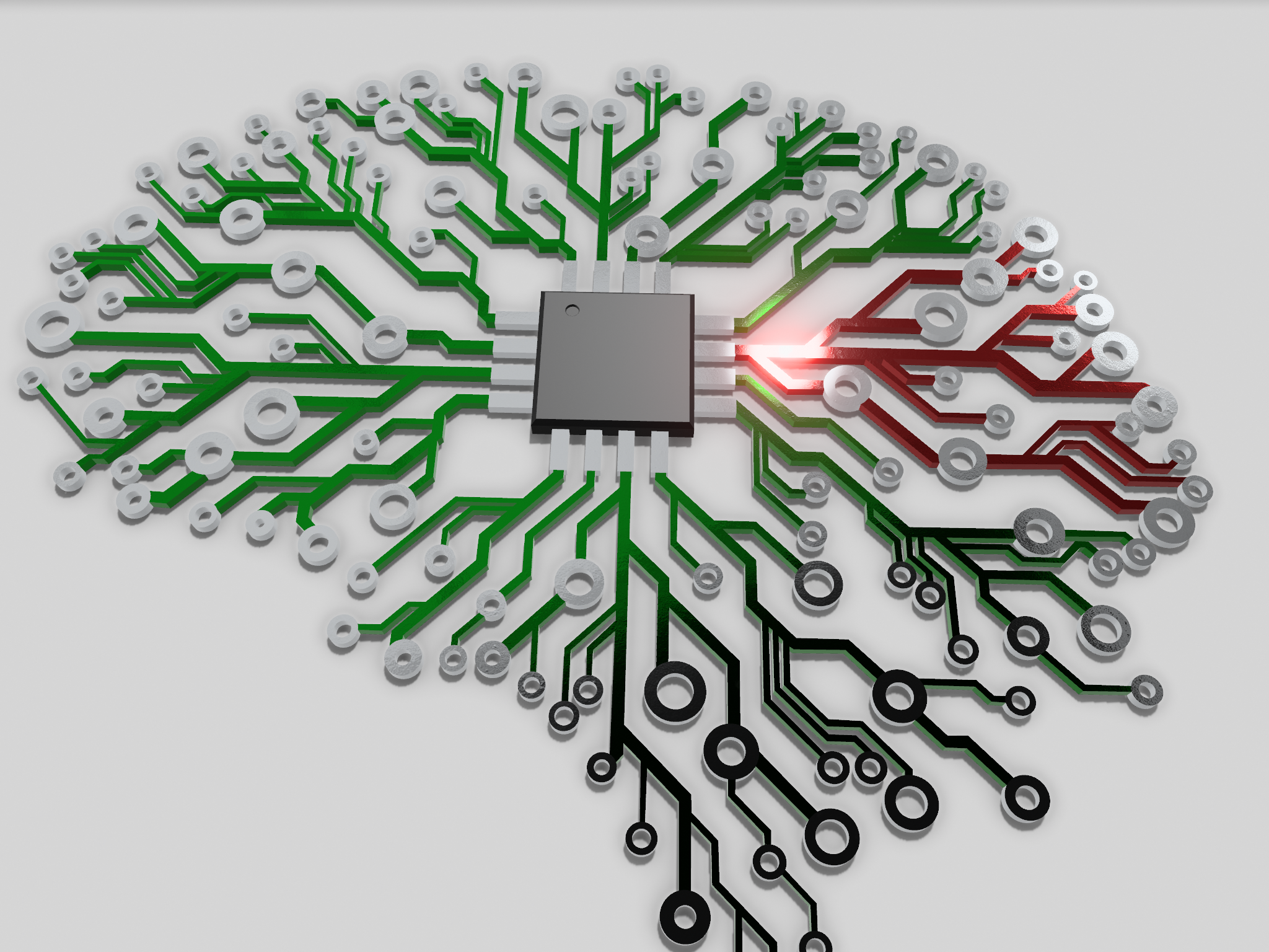 Brain Circuit