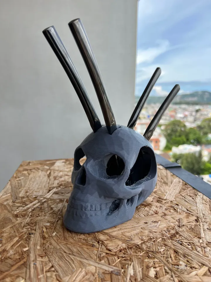 Skull Knife Holder - Shopenium