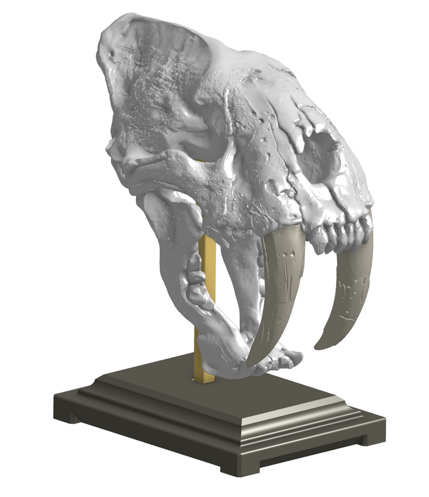 Display Stand for Saber-Toothed Cat