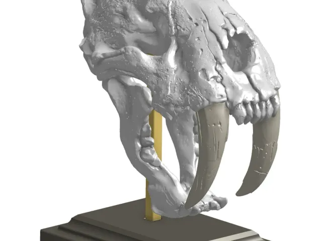 Display Stand for Saber-Toothed Cat