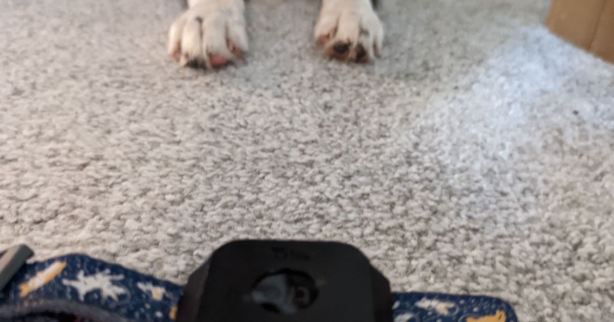 Tile Mate Dog Collar Attachment by techfreek Download free STL model