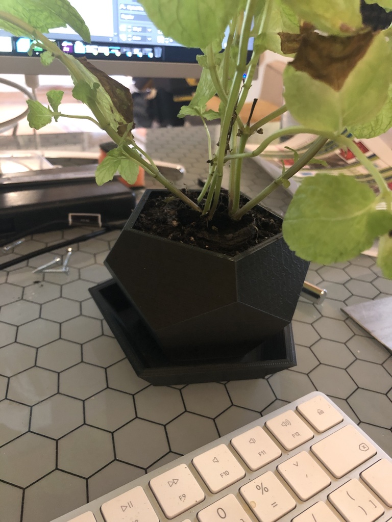 Flowerpot 