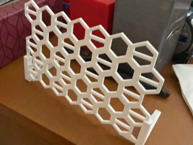 Earings rack
