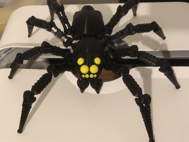 Wolf Spider V2