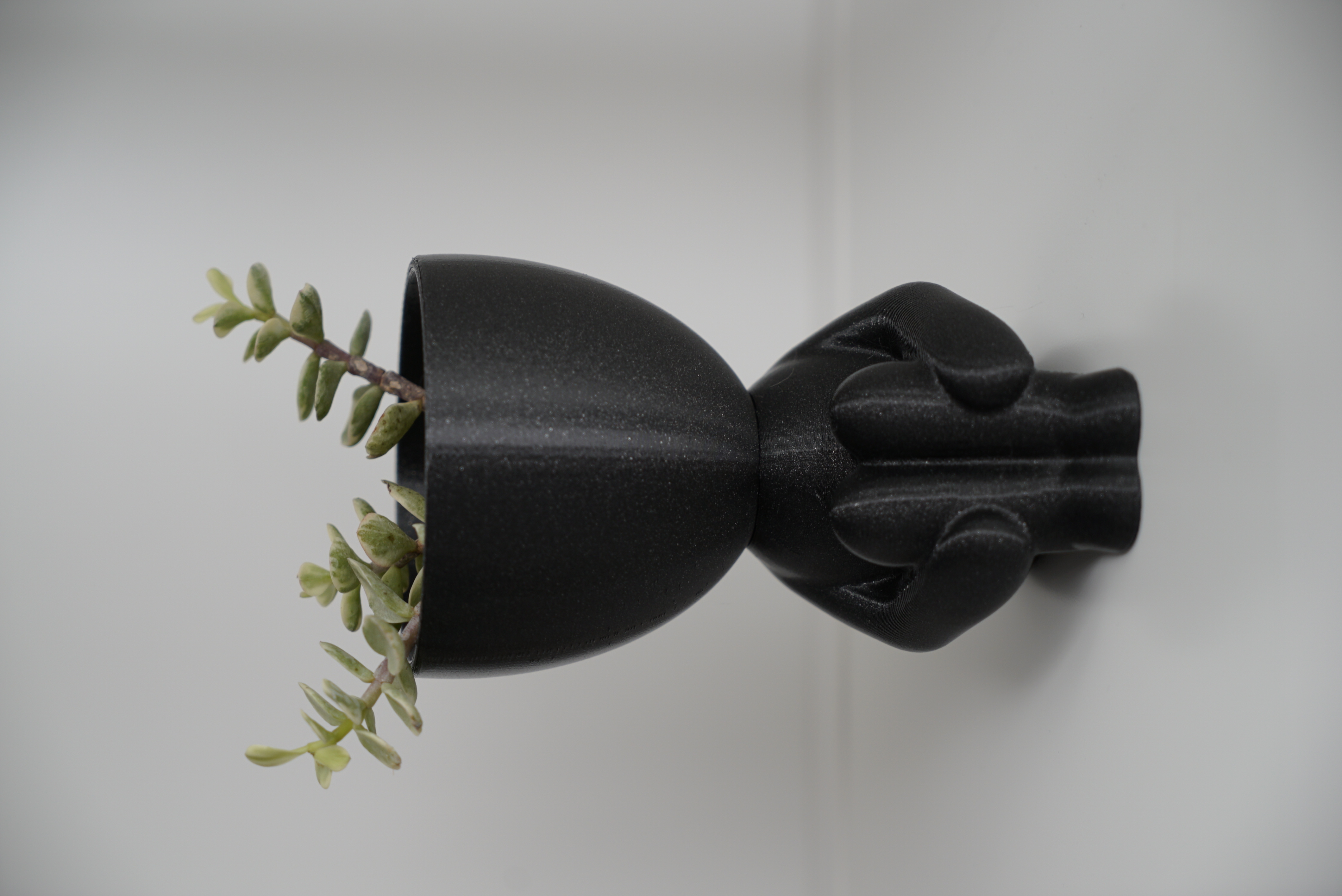 Miniatura 2 do modelo 3D Indoor FlowerPot