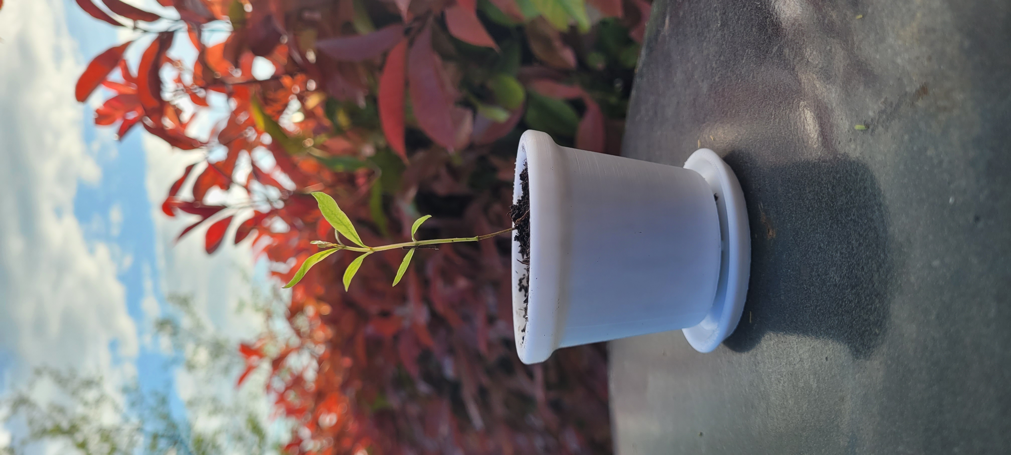 Mini pot de fleur