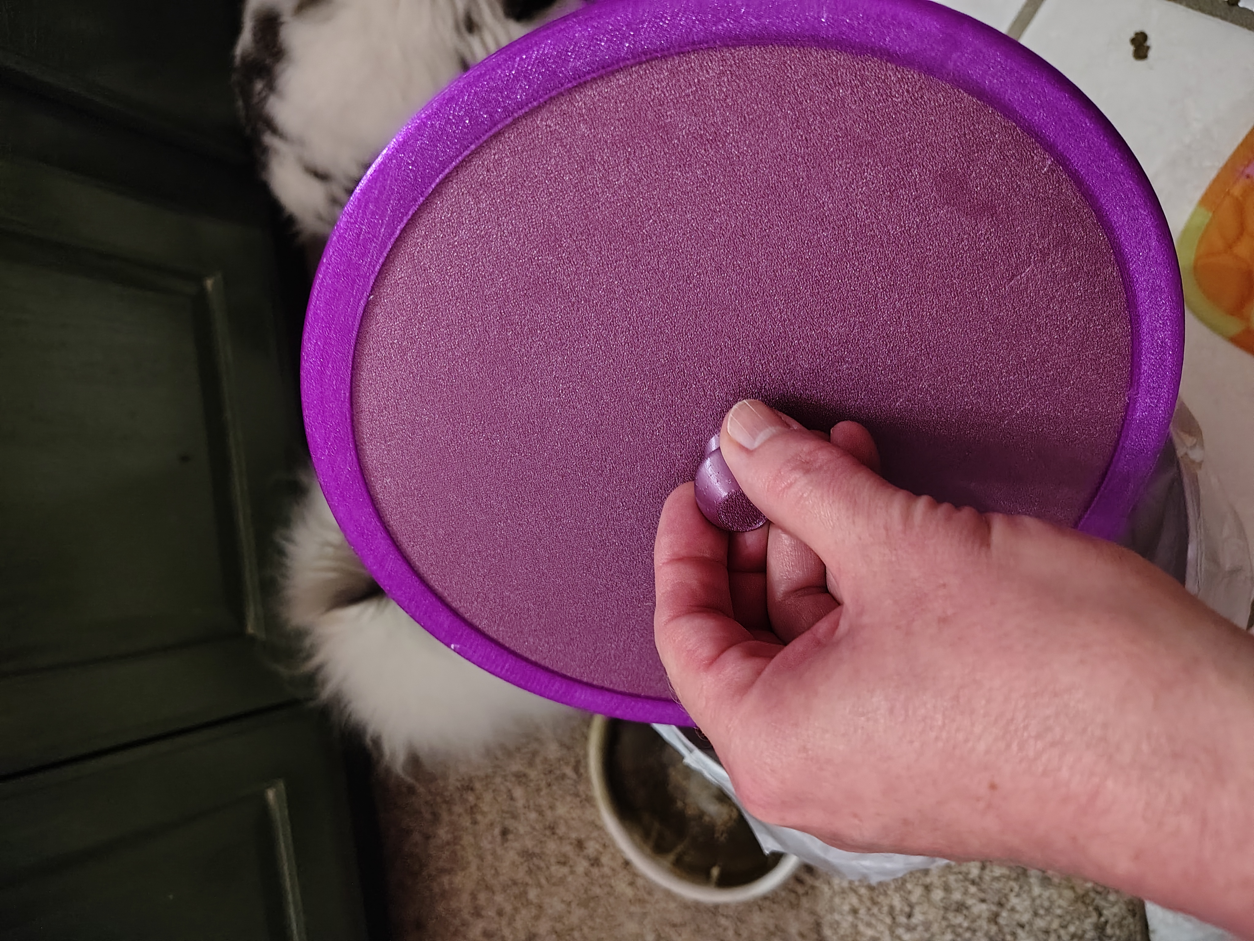 Large compost/trash bin — miniatura 3