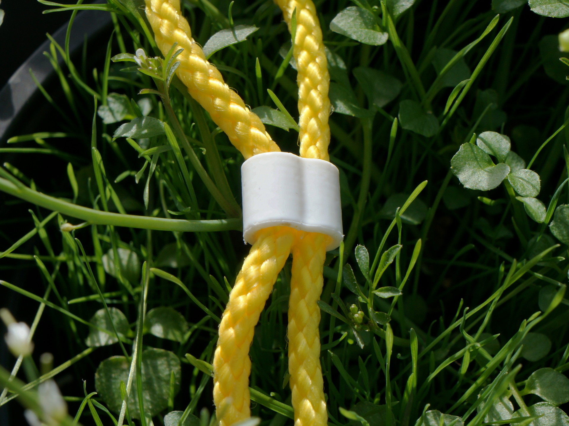 Cord Slider 3D model