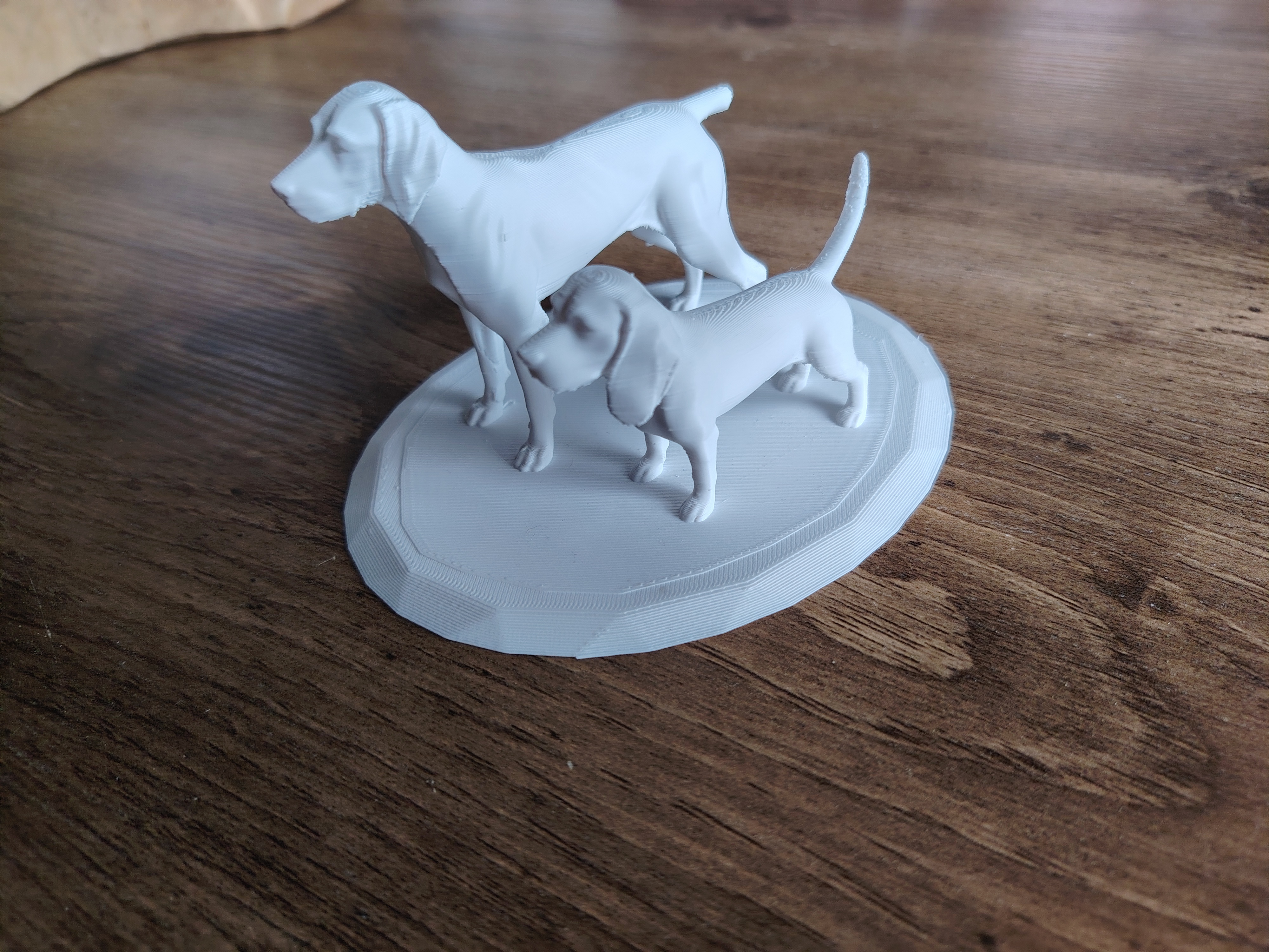 German Shorthaired Pointer and Beagle