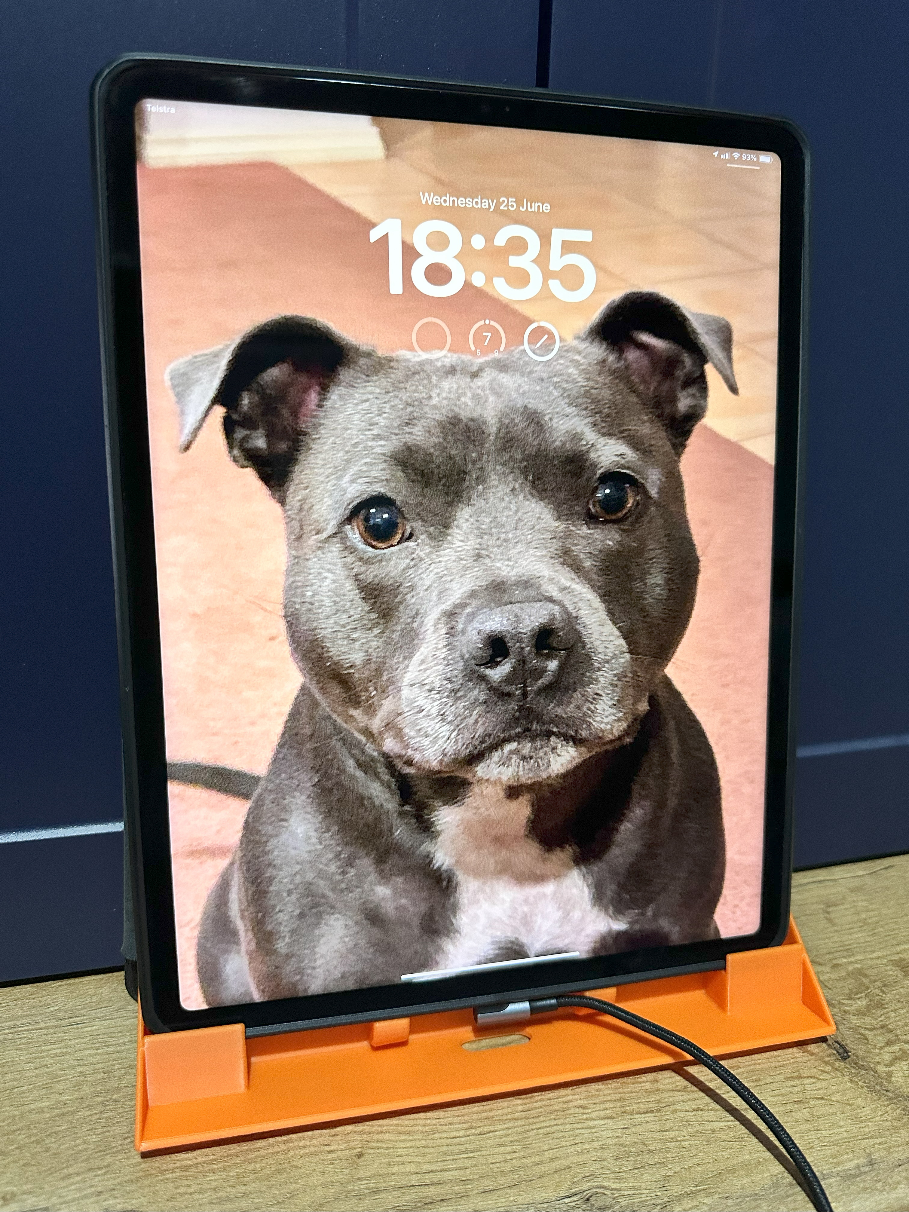 iPad Pro 12.9 6th Gen Bed/Belly Rest (Portrait Mode)