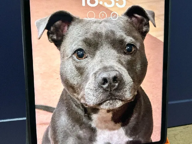 iPad Pro 12.9 6th Gen Bed/Belly Rest (Portrait Mode)