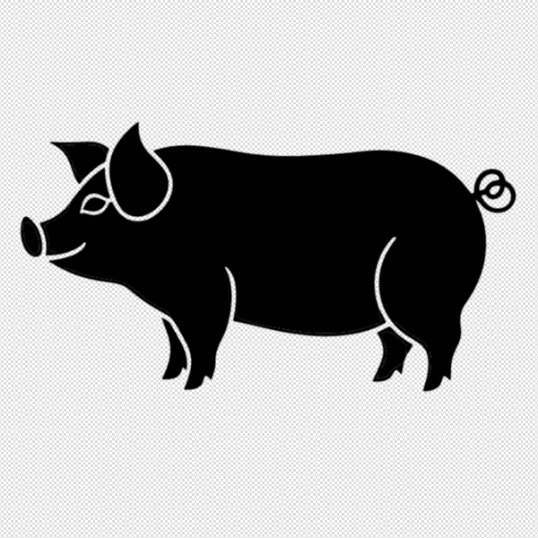 Pig decoration 2d v.1