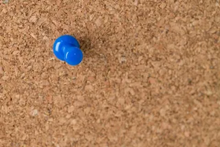 Thumb Tack