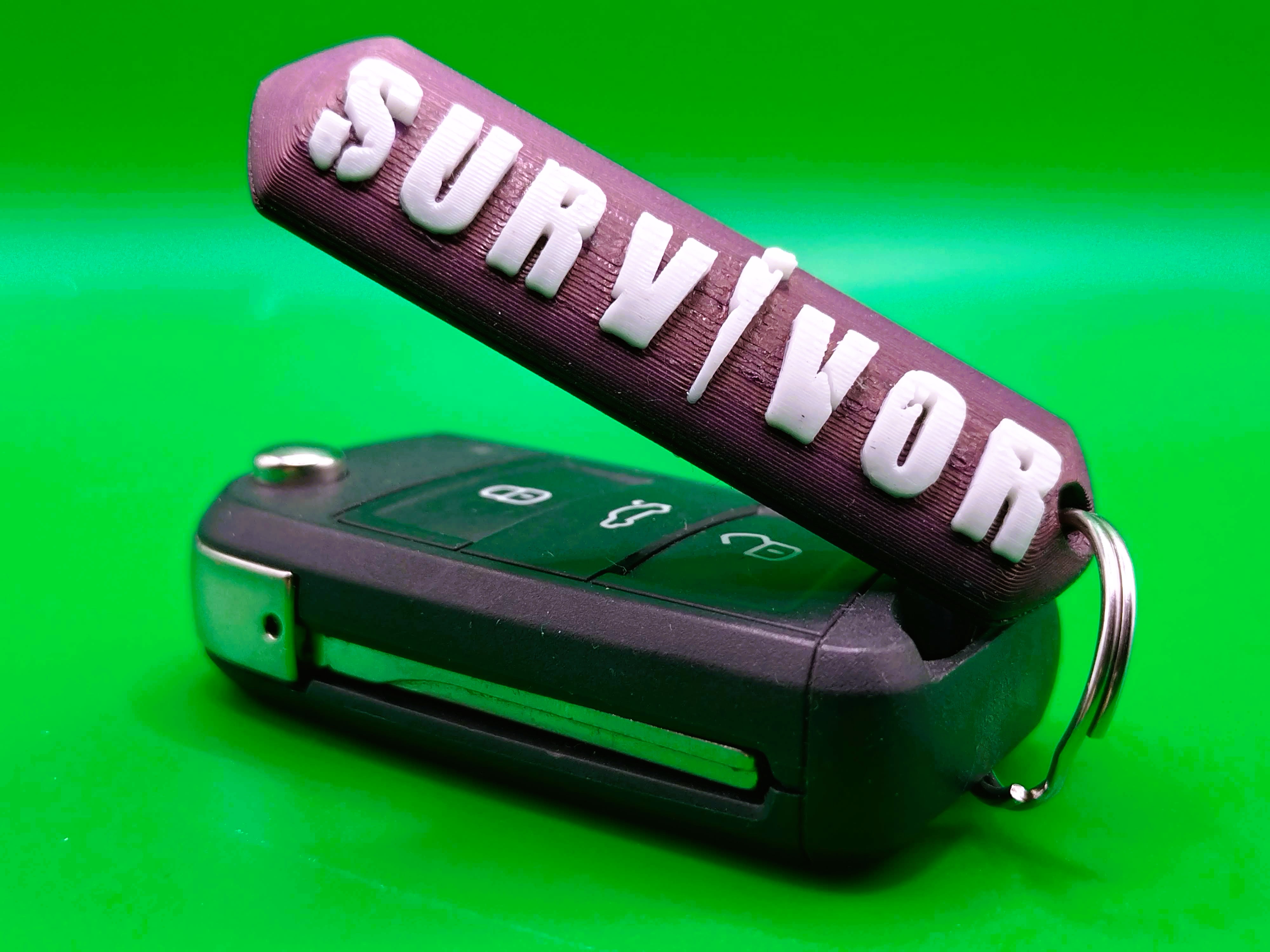 Survivor keychain 3D model