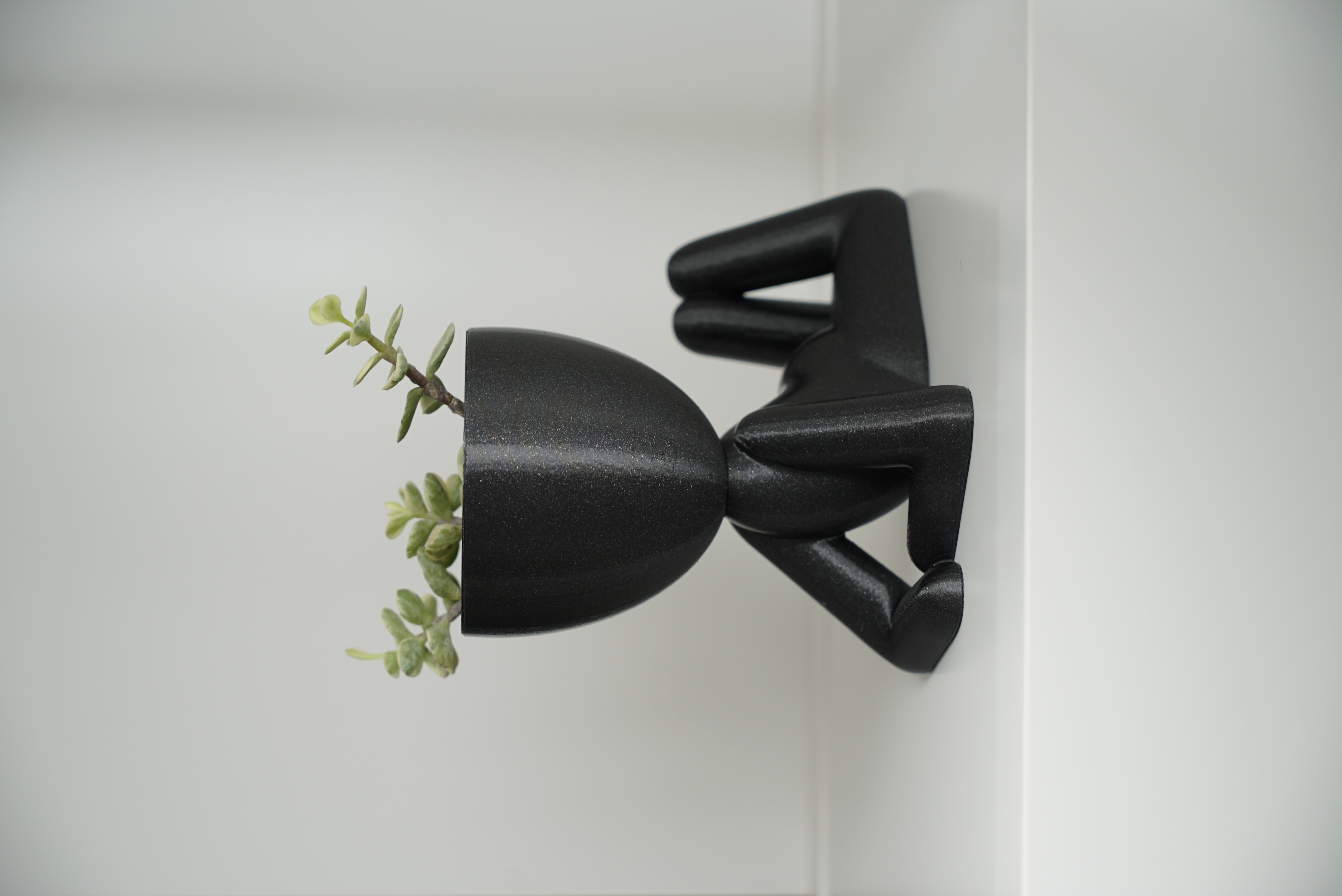 Indoor FlowerPot