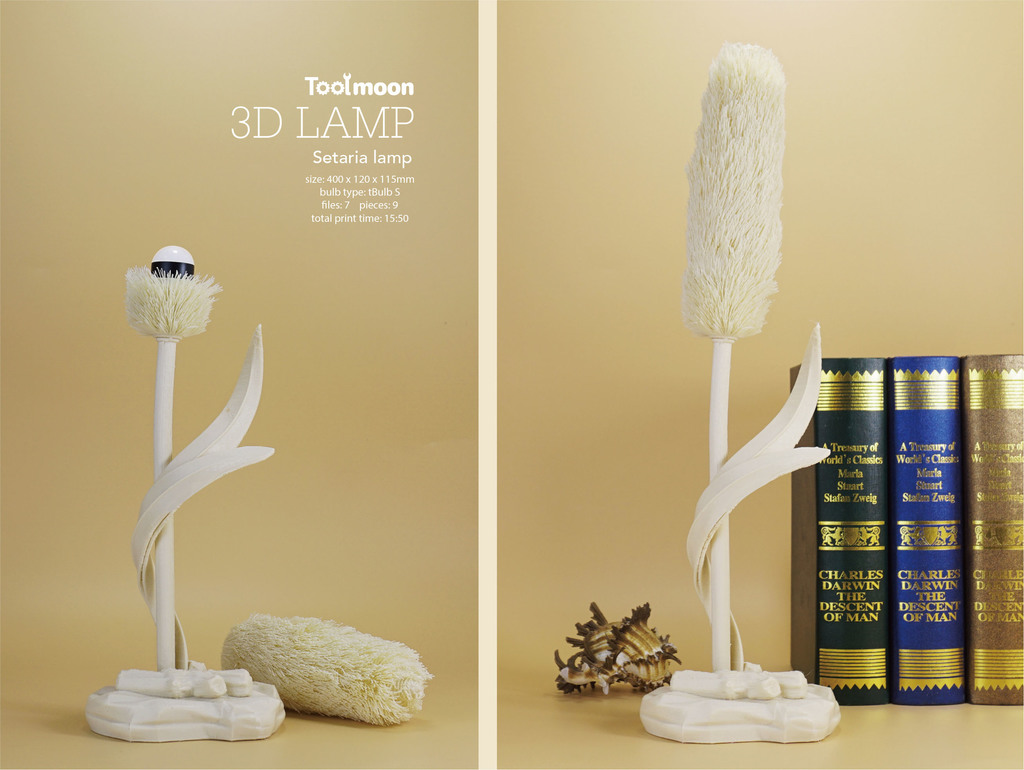 Setaria lamp