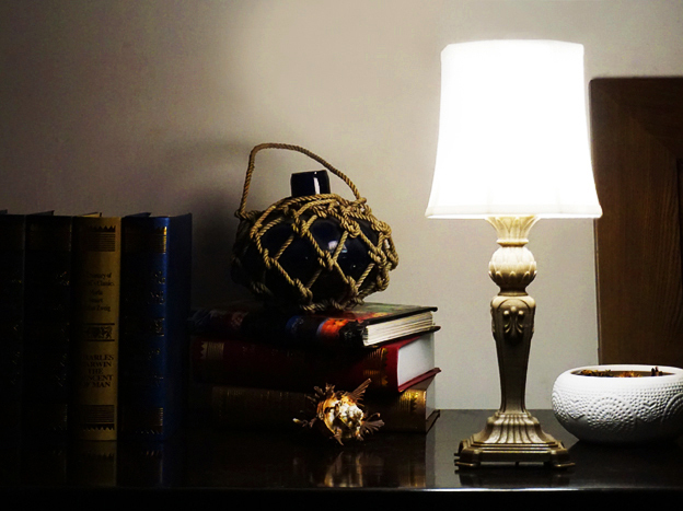 Miniatura 6 do modelo 3D tortoise lamp