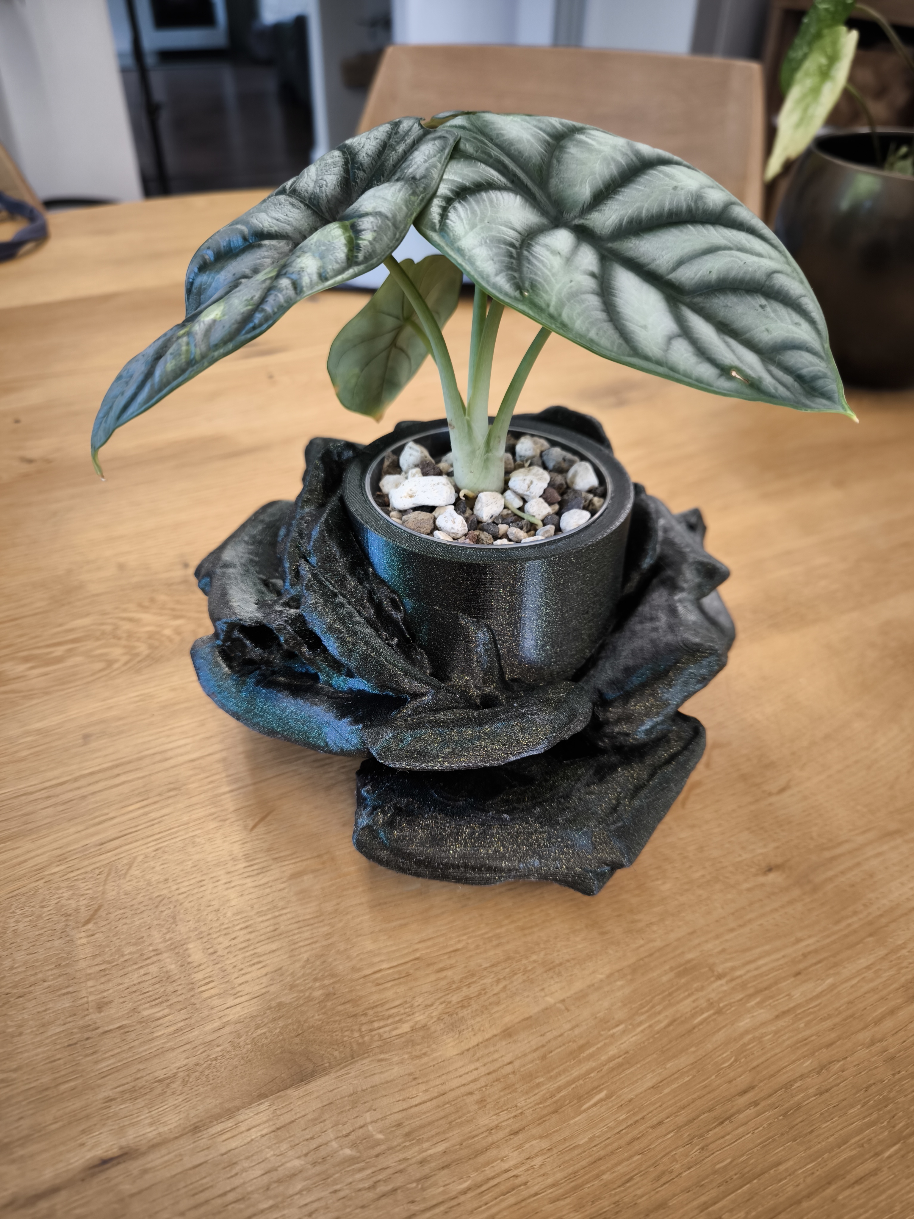 Blumentopf Rose