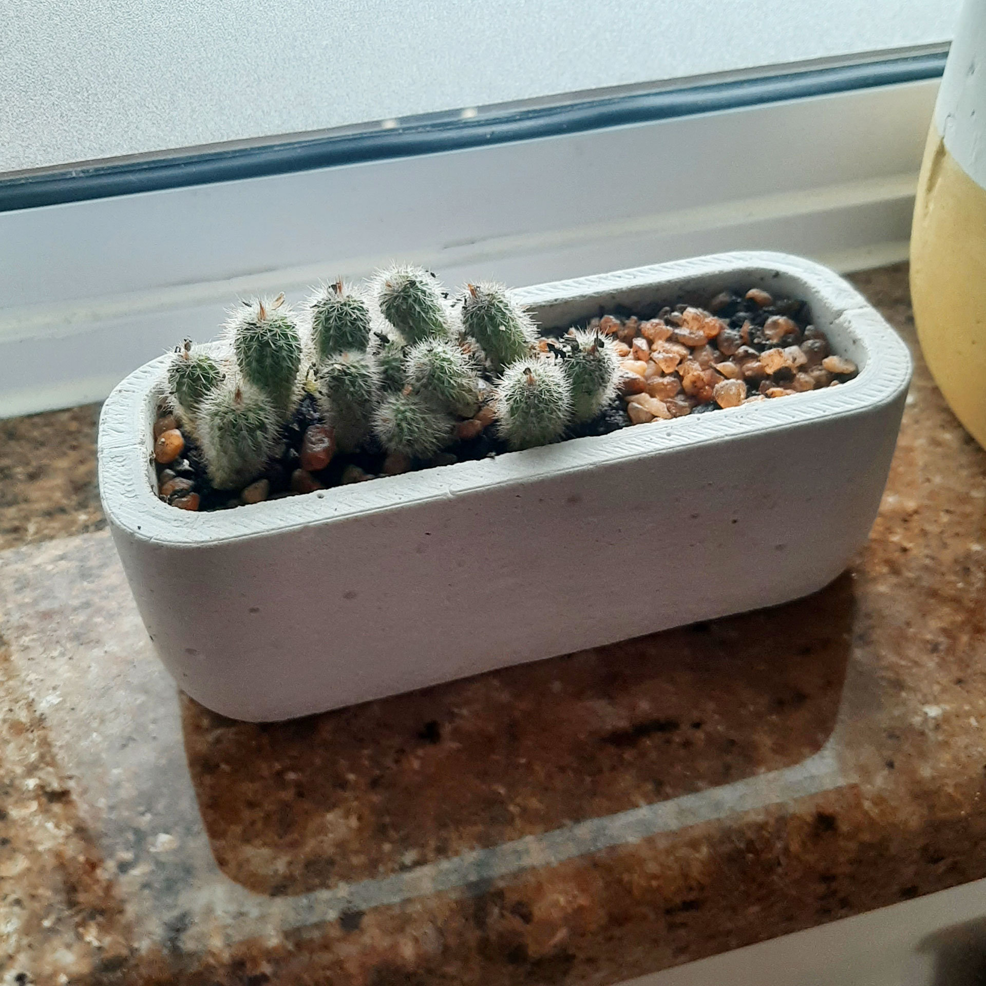 Rectangular Mini Bonsai Pot Mold