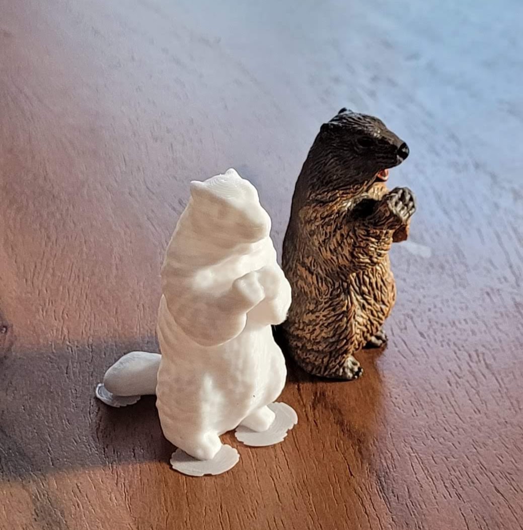 Groundhog / Murmeltier ( Revopoint Mini )