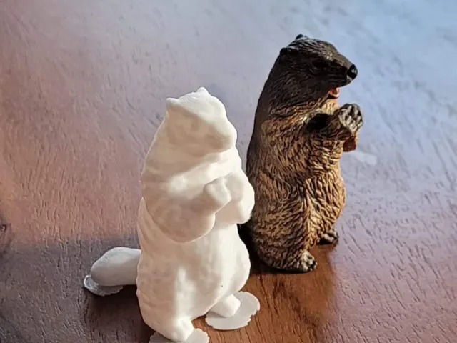 Groundhog / Murmeltier ( Revopoint Mini )