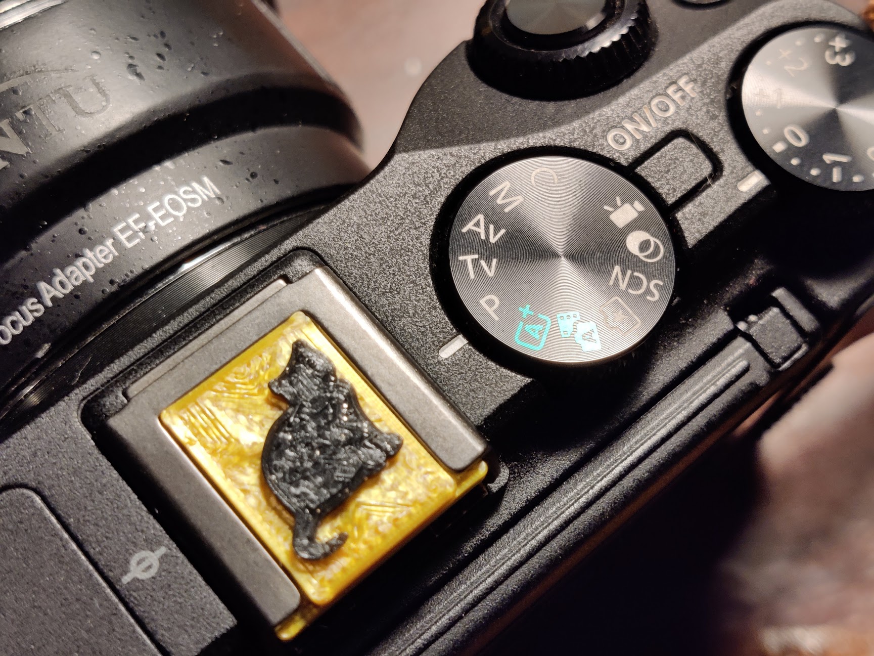 Camera hot shoe cover with fat cat