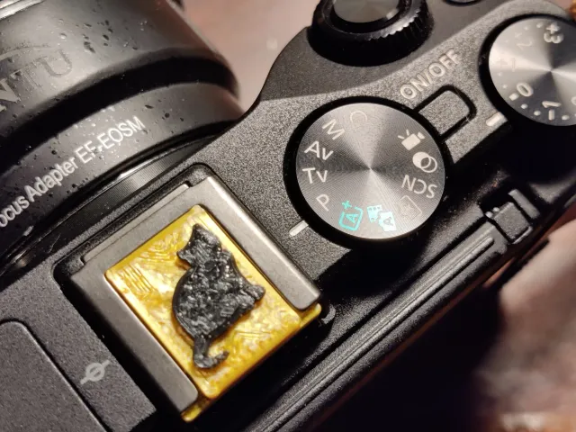 Camera hot shoe cover with fat cat