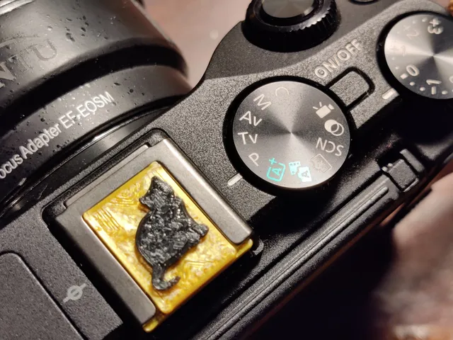 Camera hot shoe cover with fat cat