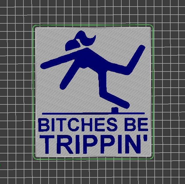 Bitc*es be trippin - wall sign