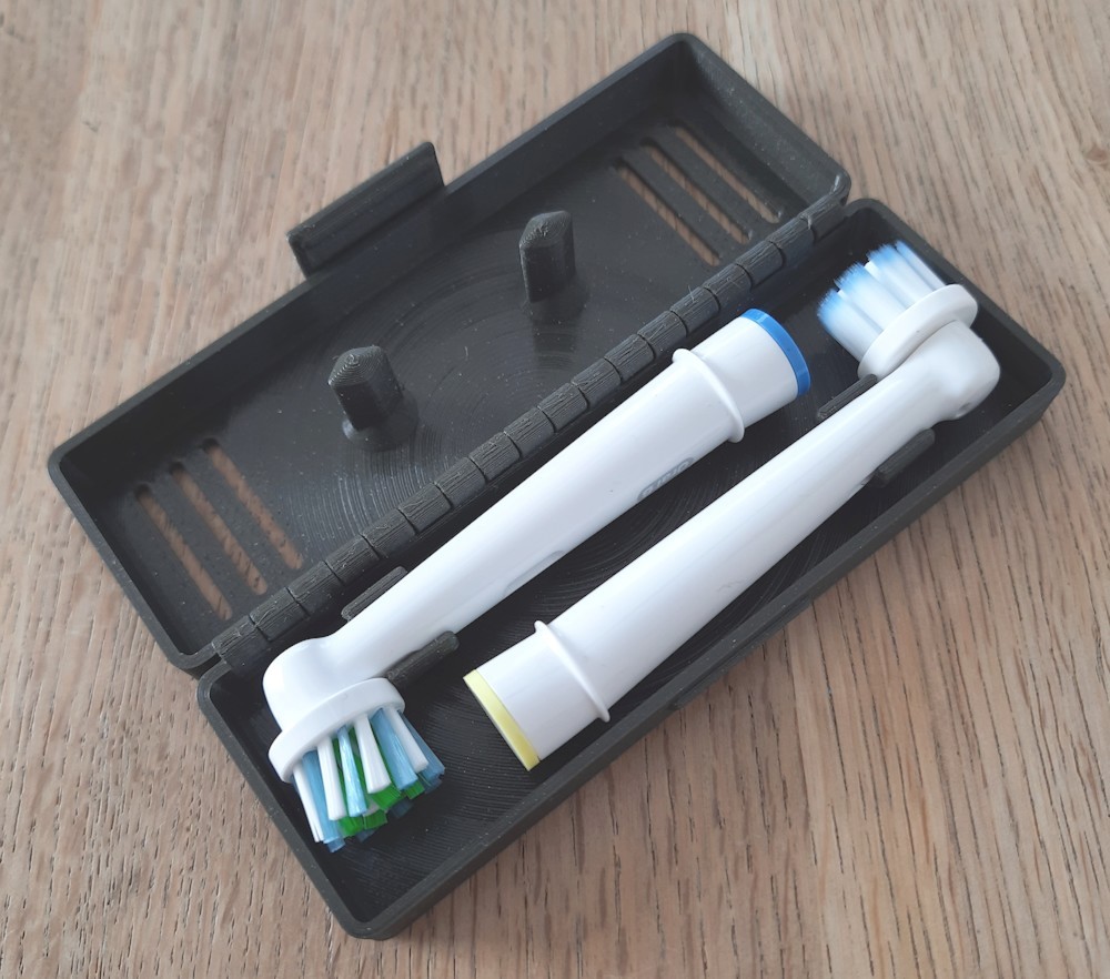 Oral-B Electric 2/4/6 Toothbrush Head Travel Case and Stand (PIP)