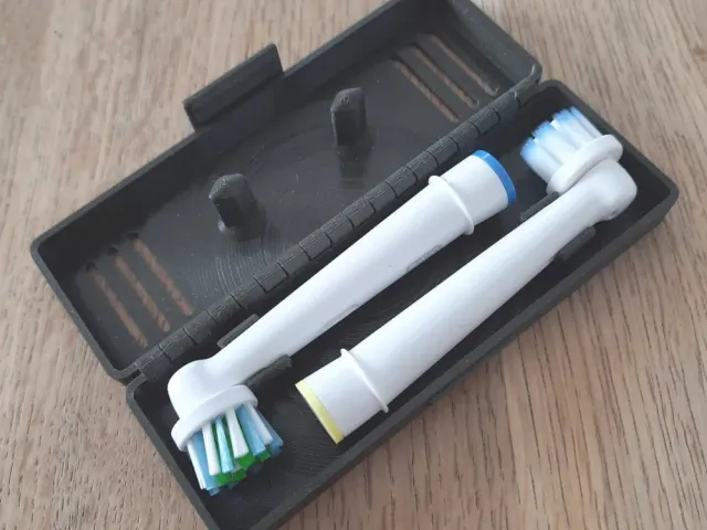 Oral-B Electric 2/4/6 Toothbrush Head Travel Case and Stand (PIP)