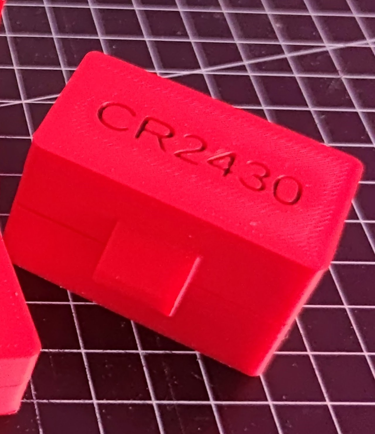 Print-in-Place Case for CR2430 Batteries