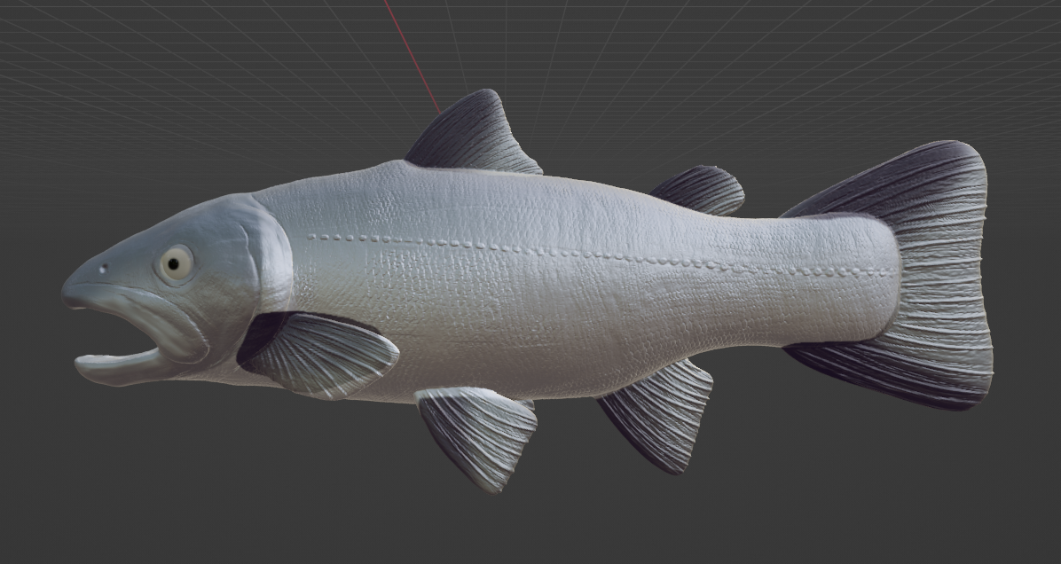 Bull Trout Replica