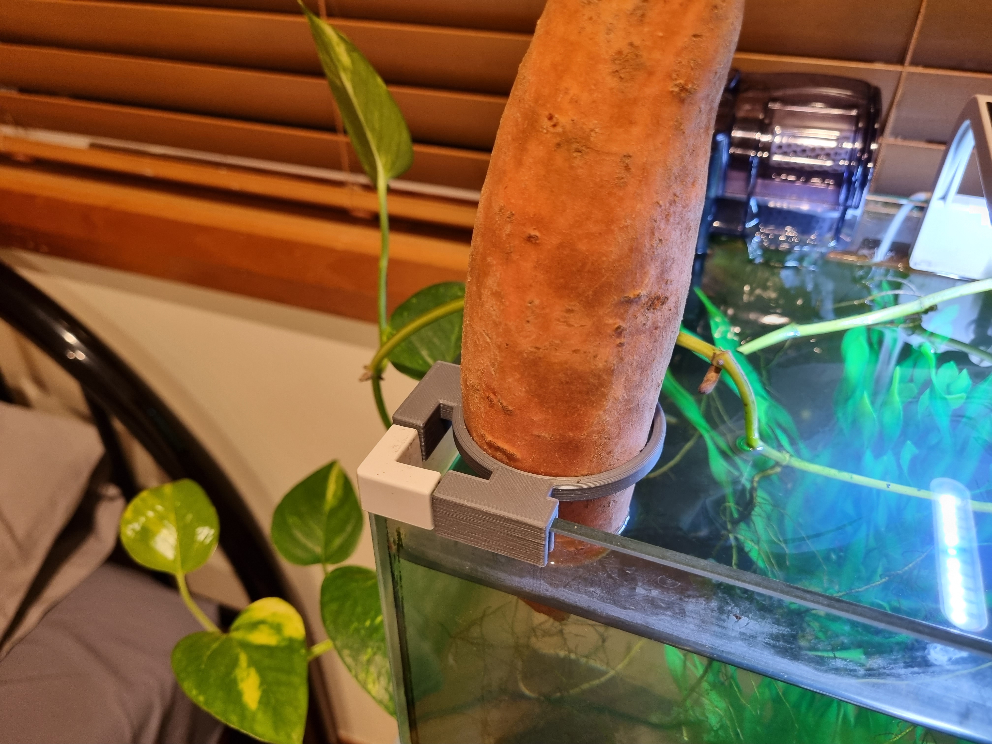 Aquarium sweet potato holder