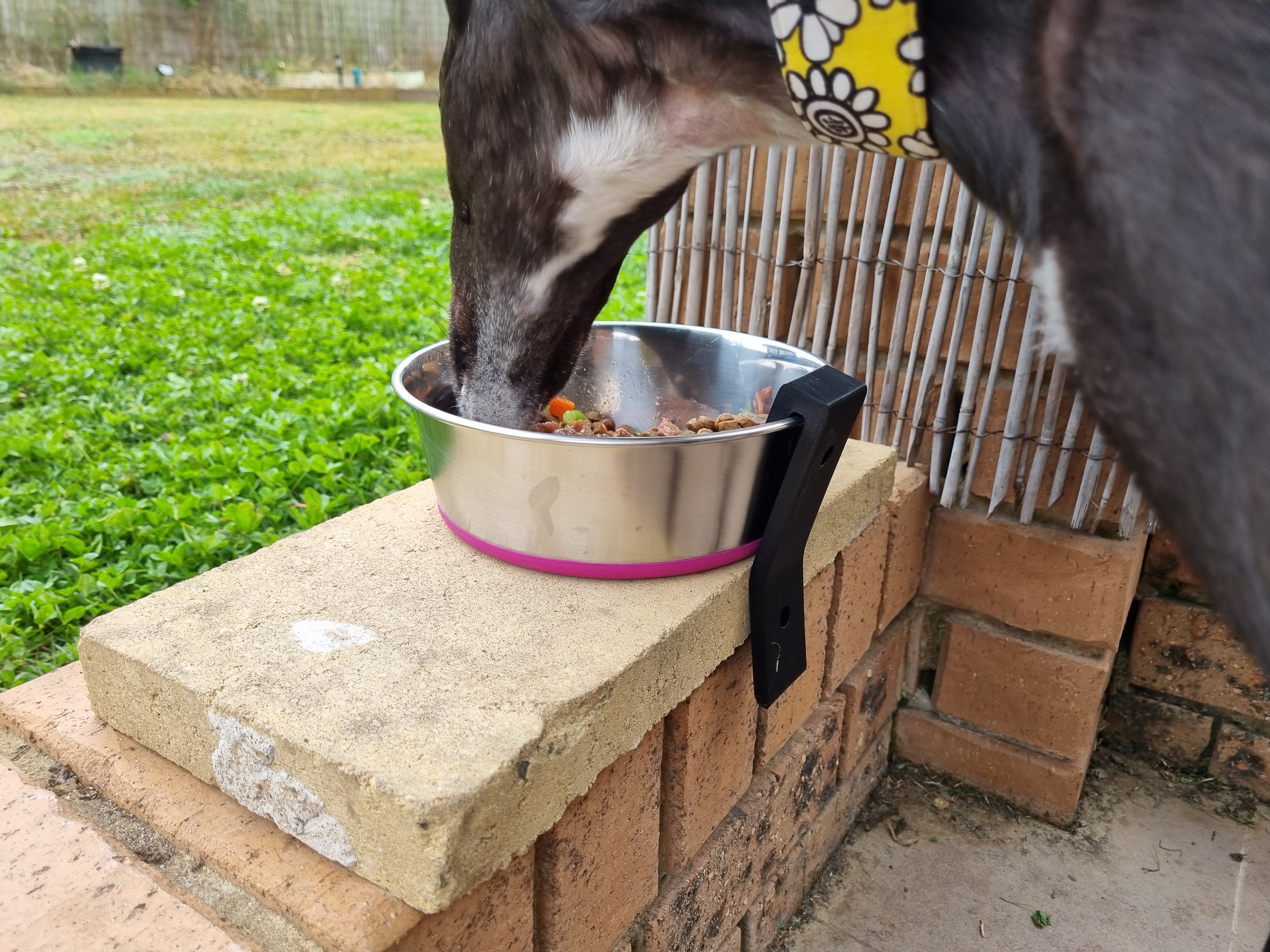 Dog bowl stopper