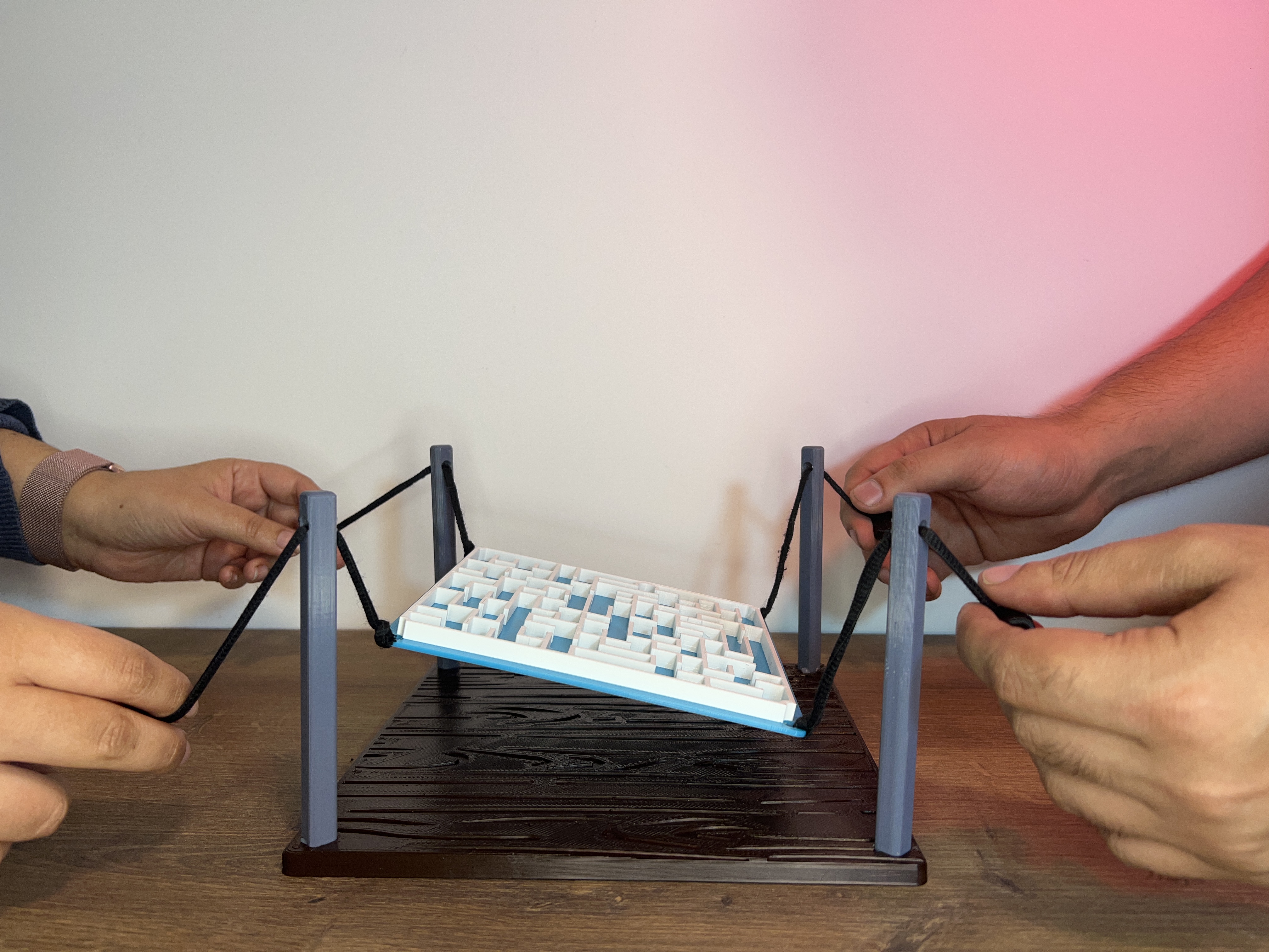 Miniatura 2 do modelo 3D Party Maze challenge