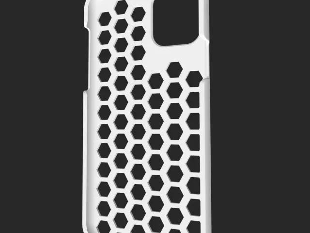 iPhone 11/Pro case