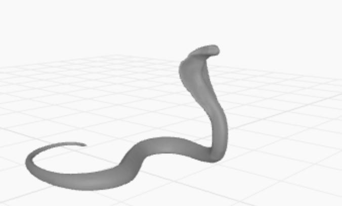 Cobra snake