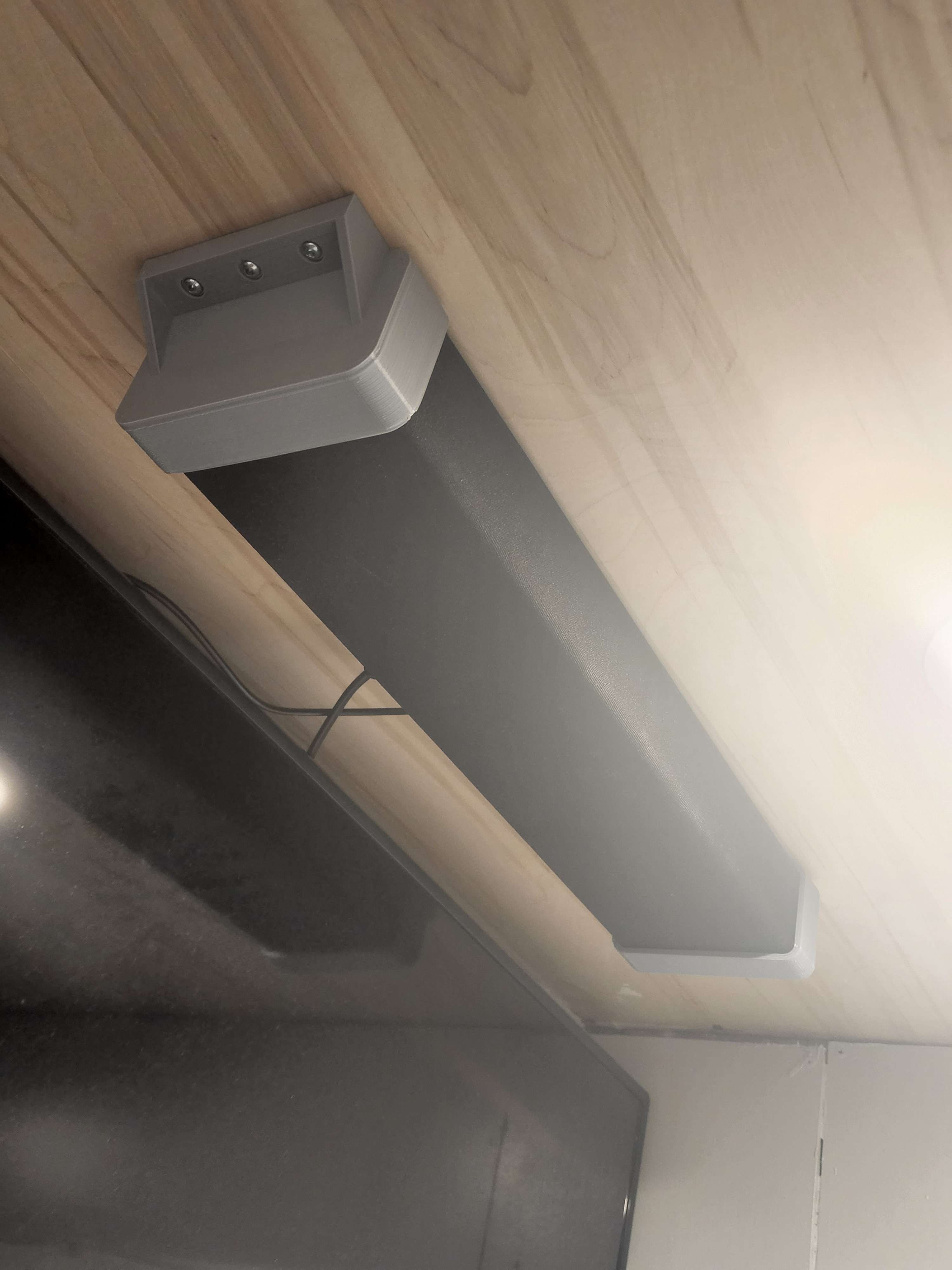 Speaker Wall or ceiling mount.